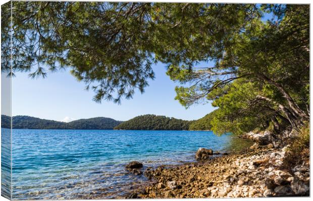 Rocky waterside in Mljet National Park Canvas Print by Jason Wells