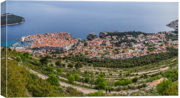 Looking down on Dubrovnik Old Town Canvas Print by Jason Wells