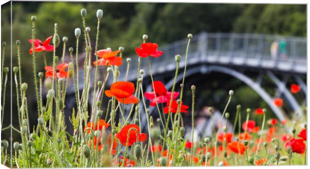 Poppies in front of the Iron Bridge Canvas Print by Jason Wells