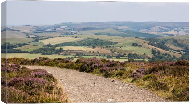 Looking over Stiperstones in Shropshire Canvas Print by Jason Wells