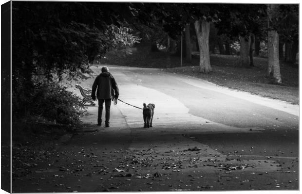 Walking the dog Canvas Print by Jason Wells