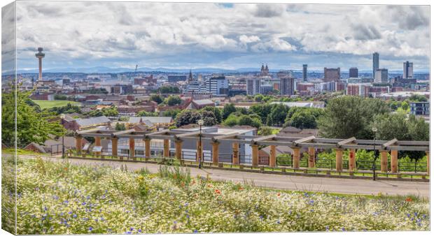 Liverpool panorama from Everton Park Canvas Print by Jason Wells