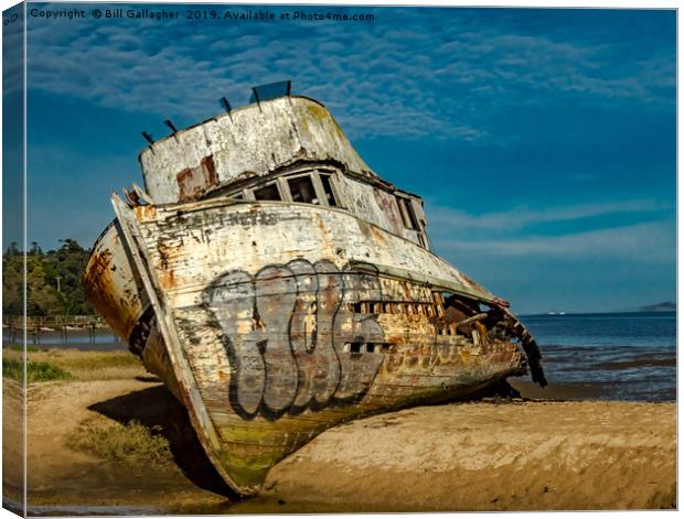 The Pt. Reyes Shipwreck Canvas Print by Bill Gallagher