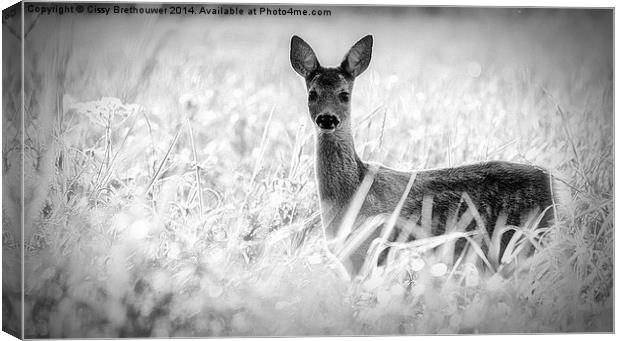 Deer Canvas Print by Cissy Brethouwer