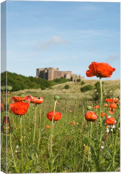 Poppies and Bambugh Castle. Canvas Print by Ivan Kovacs