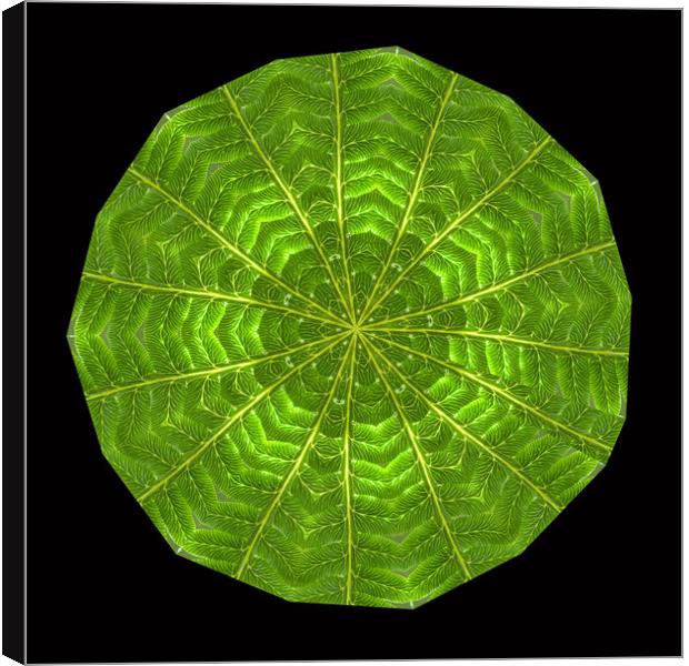 Circular composite of fern leaf. Canvas Print by Ivan Kovacs