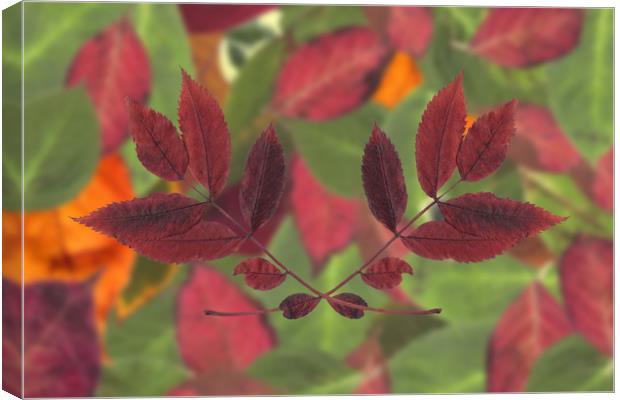 Autumn Red Canvas Print by Ivan Kovacs