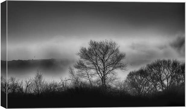 Rolling Clouds Canvas Print by Charlotte Moon