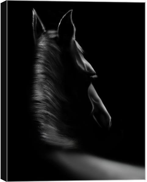 The Horse Canvas Print by Charlotte Moon