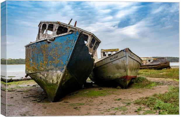 Wrecked Canvas Print by Charlotte Moon