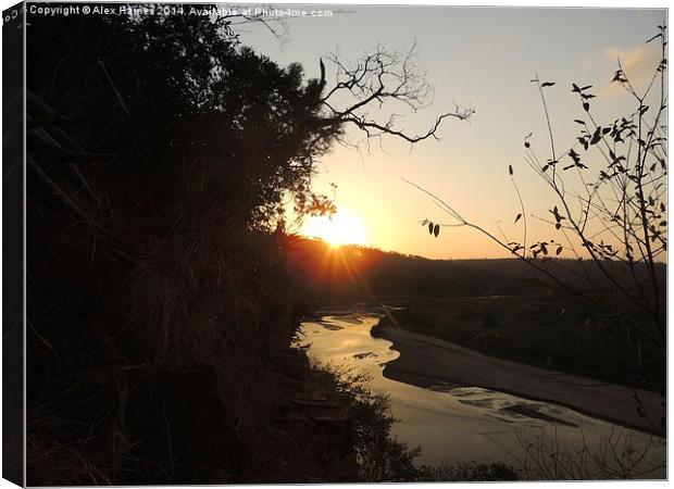 Sunset on the Umfolozi Canvas Print by Alex Haines