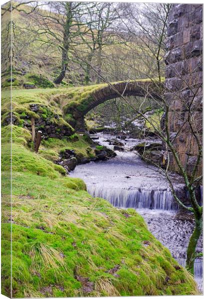 Fell End Gill. Dentdale, North Yorkshire Canvas Print by Richard Pinder