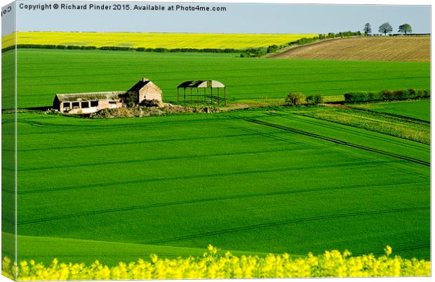 East Yorkshire Wolds Canvas Print by Richard Pinder