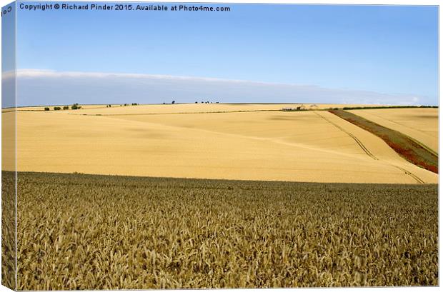  Yorkshire Wolds at Harvest Time Canvas Print by Richard Pinder