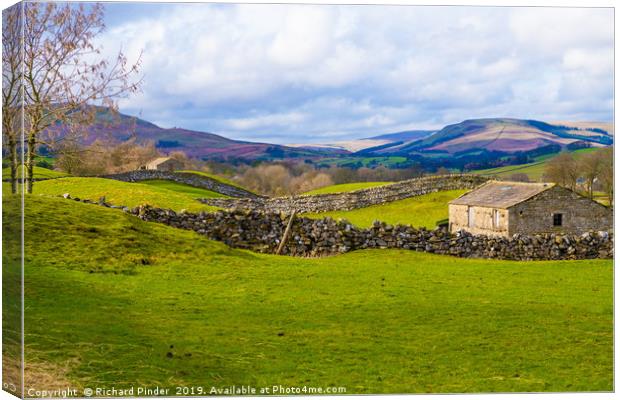 Swaledale, North Yorkshire. Canvas Print by Richard Pinder