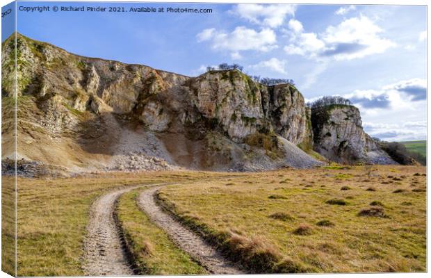 Chalk Cliffs of the Yorkshire Wolds Canvas Print by Richard Pinder