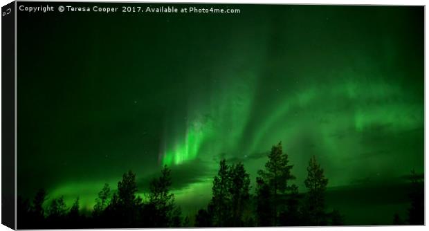 The Aurora Borealis Dances Across the Sky Canvas Print by Teresa Cooper