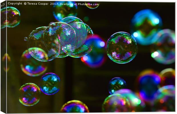 Blowing Bubbles Floating in the Air Canvas Print by Teresa Cooper