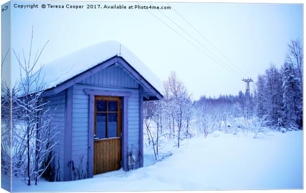 A Blue Wooden Cabin on a Carpet of Fresh Snow  Canvas Print by Teresa Cooper