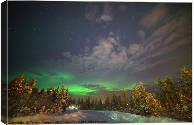 The Aurora Glows in the distance  Canvas Print by Teresa Cooper