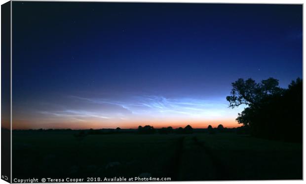 Noctilucent clouds glow over open fields  Canvas Print by Teresa Cooper