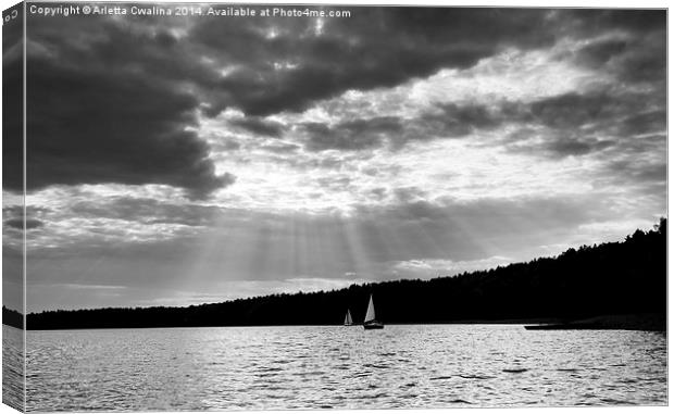 Black and white lake view Canvas Print by Arletta Cwalina