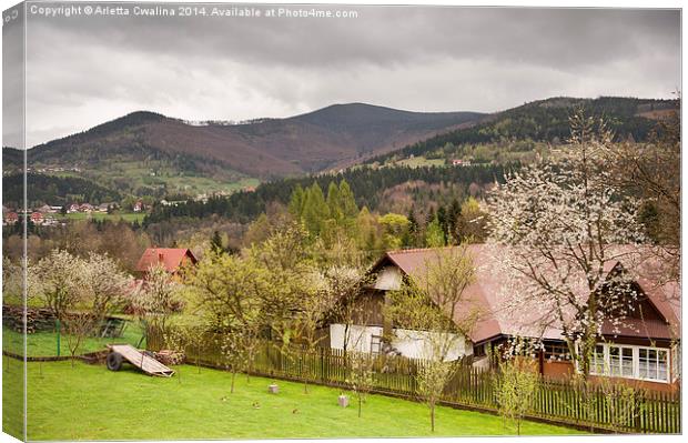 Babia Gora massif view Canvas Print by Arletta Cwalina