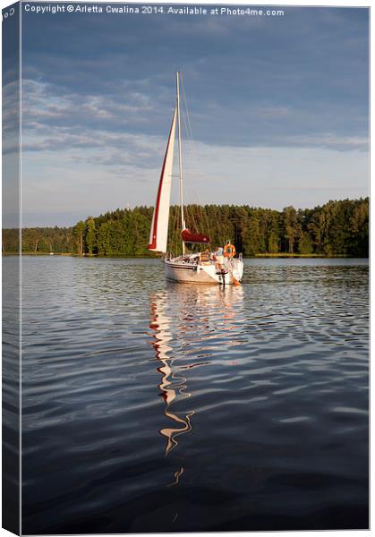 One white boat sailing view Canvas Print by Arletta Cwalina