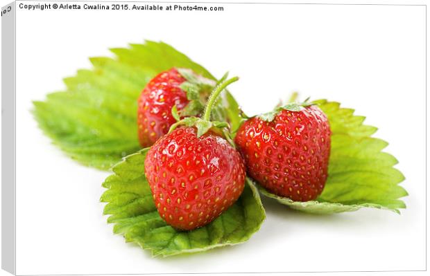 fresh strawberries fruits lying on leaf on white  Canvas Print by Arletta Cwalina