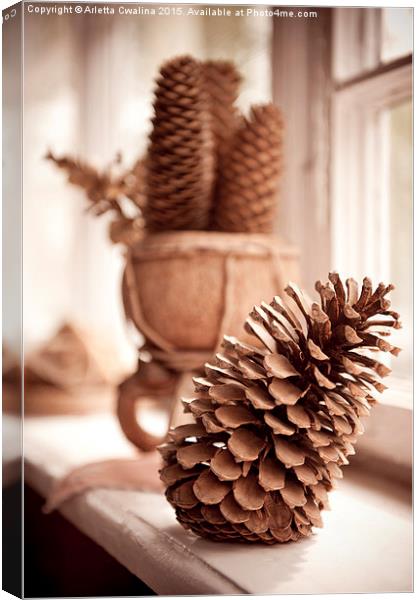 old dried cones on windowsill sepia toned  Canvas Print by Arletta Cwalina
