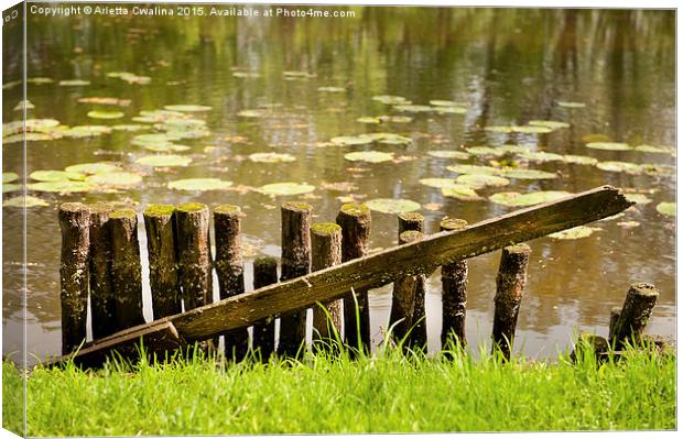 broken wooden fence on pond shore Canvas Print by Arletta Cwalina