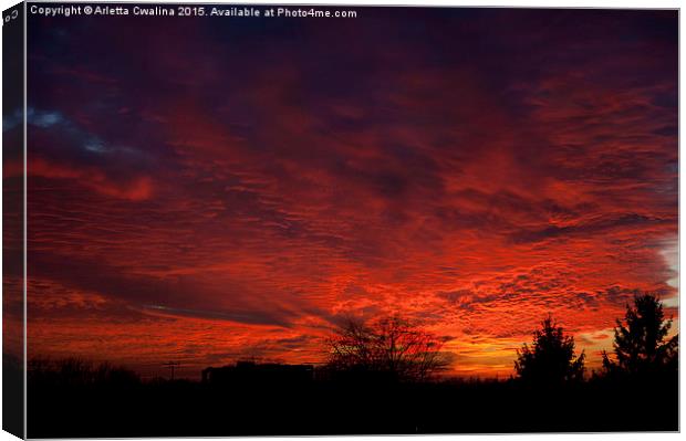 Twilight red sunset and trees silhouette Canvas Print by Arletta Cwalina