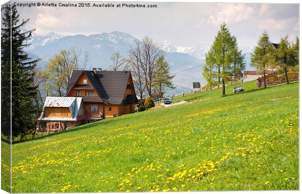 Bucolic spring meadow and wooden house Canvas Print by Arletta Cwalina