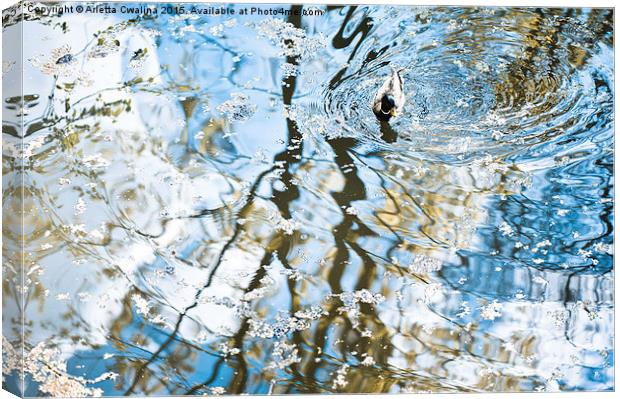 Duck in water reflections abstract Canvas Print by Arletta Cwalina