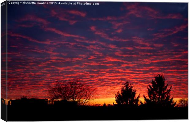 Amazing red sunset sky Canvas Print by Arletta Cwalina