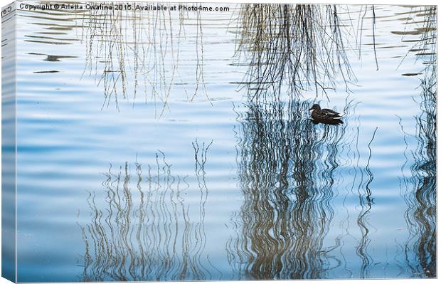 Duck under willow droop twigs Canvas Print by Arletta Cwalina