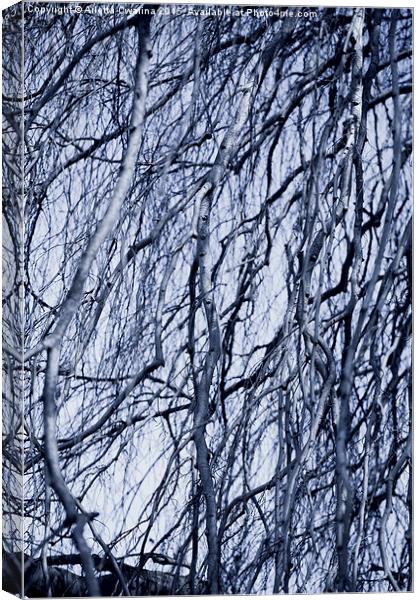Fall twigs blue tone Canvas Print by Arletta Cwalina