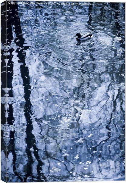 Lone duck blue tone Canvas Print by Arletta Cwalina