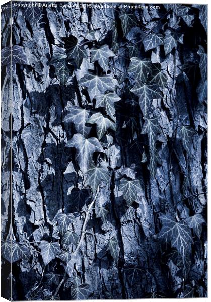 Ivy leaves blue tone Canvas Print by Arletta Cwalina