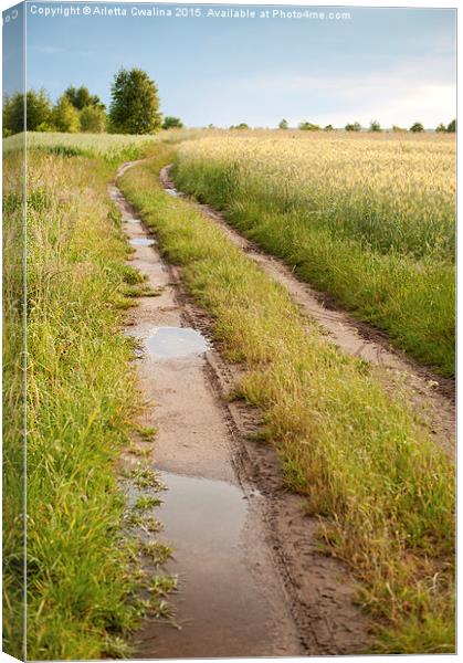 Path with puddles in fields Canvas Print by Arletta Cwalina