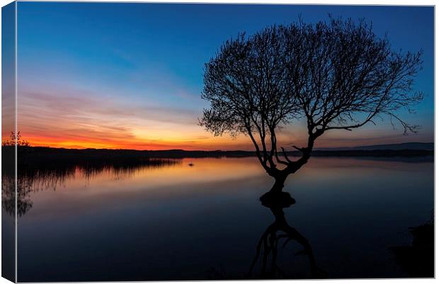  Solitude, Kenfig Pool Canvas Print by Dean Merry