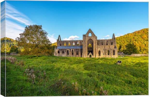 Tintern abbey Canvas Print by Dean Merry