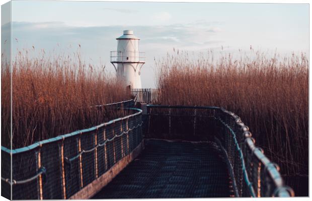 East Usk Lighthouse Canvas Print by Dean Merry