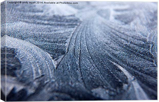 Frost Ice frozen Canvas Print by andy myatt