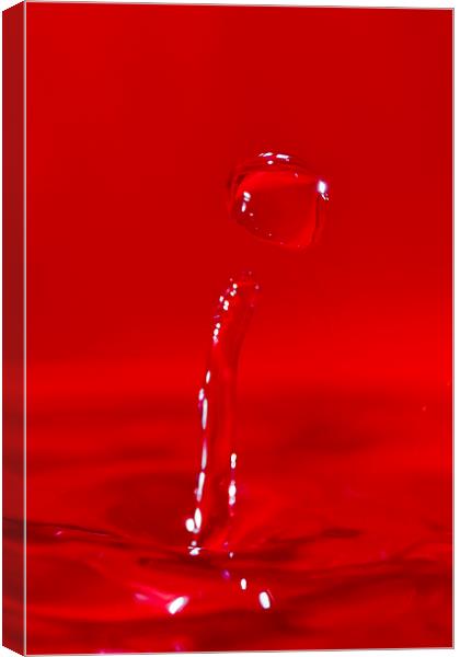 Droplet of Red water Canvas Print by andy myatt