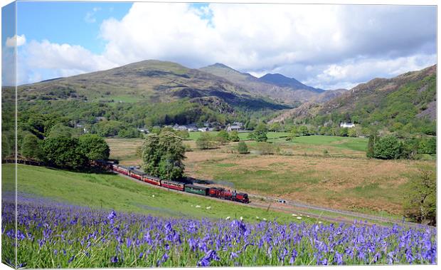 Welsh Highland Railway at Beddgelert in springtime Canvas Print by Chris Parry
