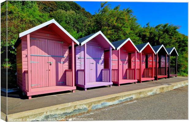 Beach huts on Folkestone seafront Canvas Print by Michael Hopes