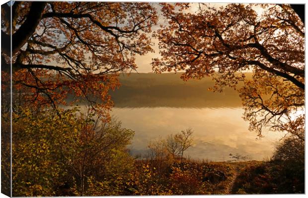 Sunrise over Loch Awe Canvas Print by Michael Hopes