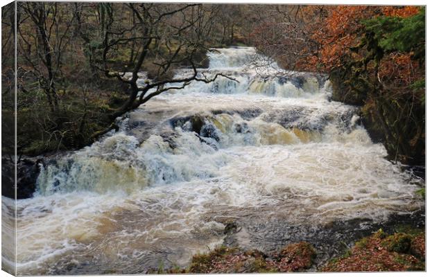 Avich Falls in Scotland Canvas Print by Michael Hopes
