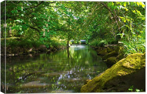  stream on summers day Canvas Print by michael swords